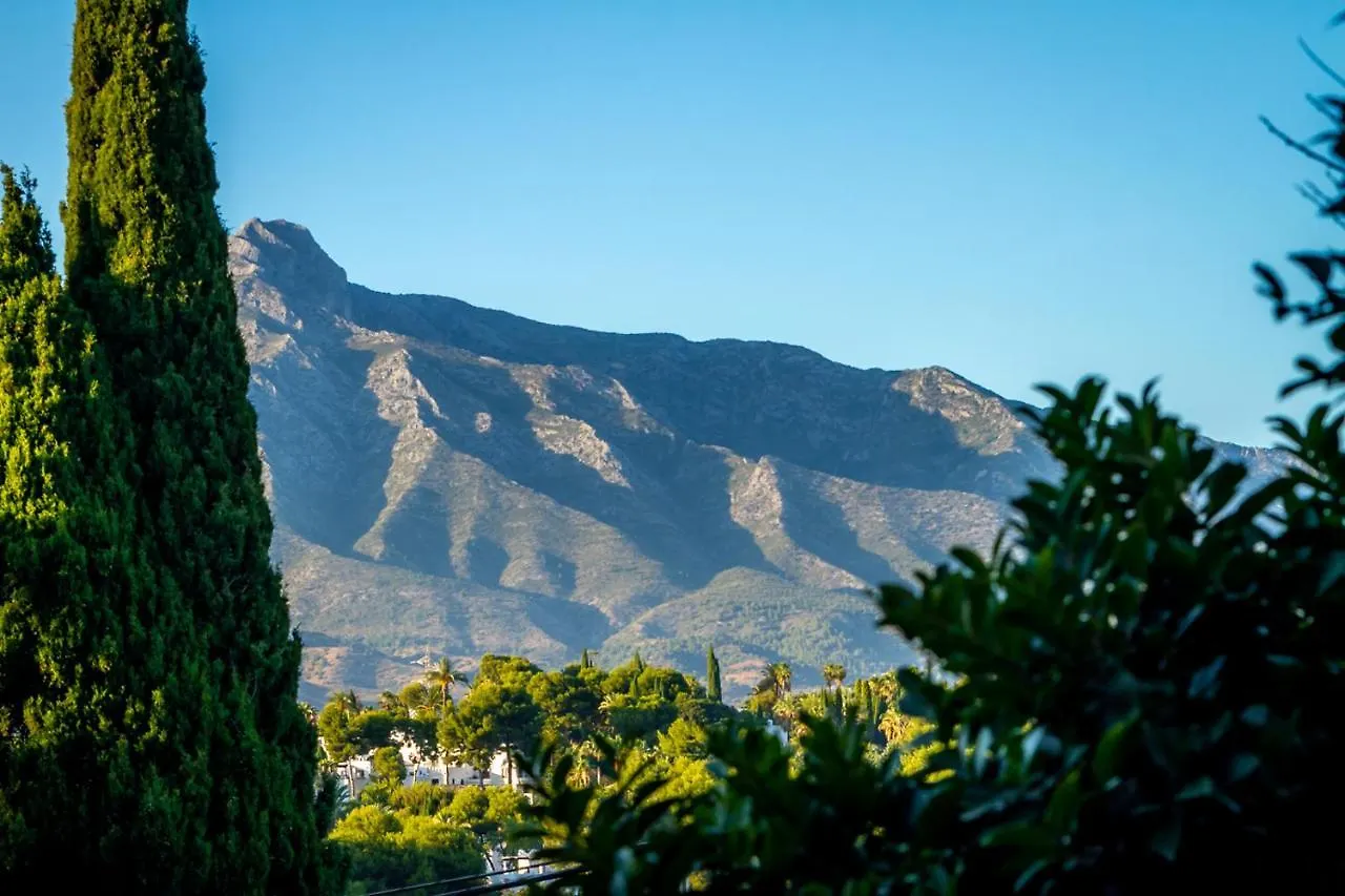 Marbella Banus Suites - Ceibo Centro Plaza Banus Suite Apartment